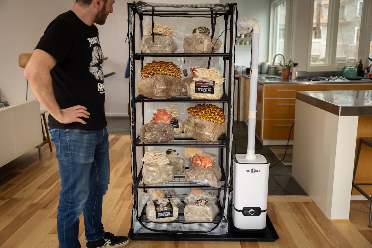 Cultivate Your Own Gourmet Harvest